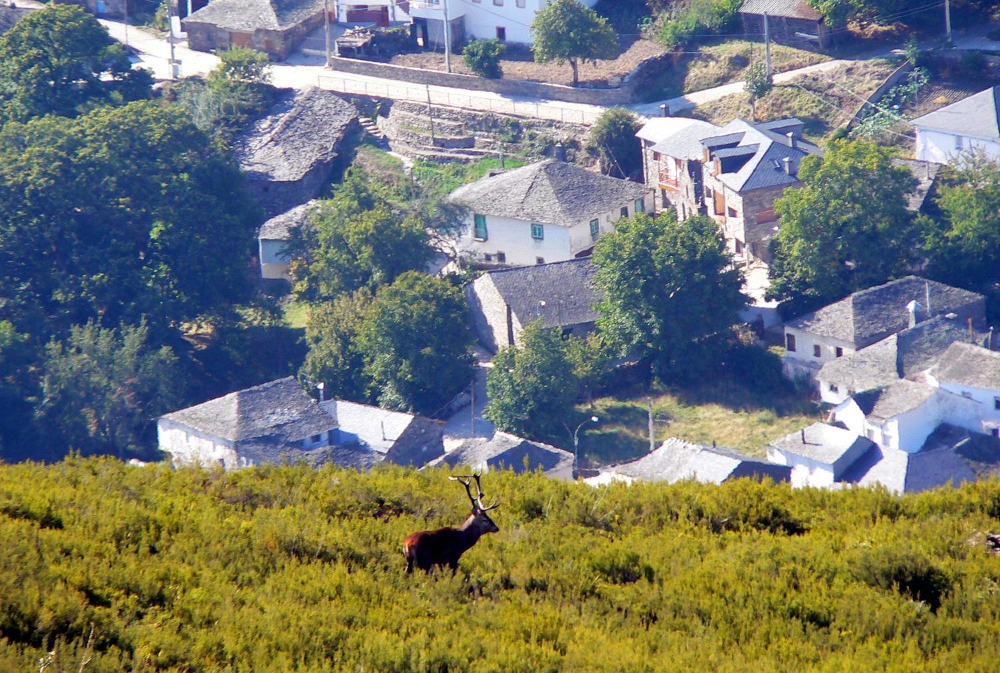 Hostel El Campano Villafranca del Bierzo Kültér fotó
